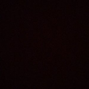 Meet your Posher, Paige